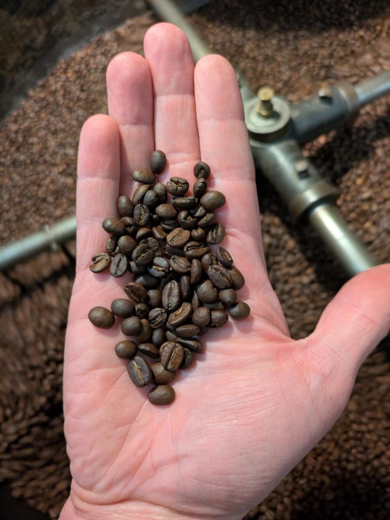 Café torréfié dans une main